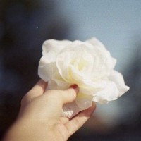 2014061510003046.jpg_500x0