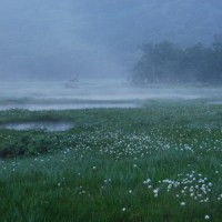 2014080605403055.jpg_500x0